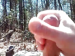 Dupont Forest jack