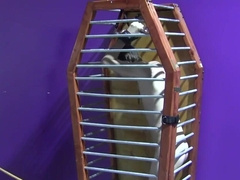 Caged boy is ready to receive is dirty sexual punishment