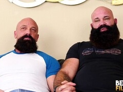 Hairy, bears blowjob, bear bj