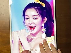 200701 Red Velvet Irene Cum Tribute