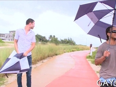 Watch this enormous pulsing salami throb with pleasure