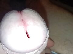 Close up uncut cock