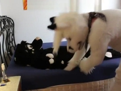 Fursuit sex 97