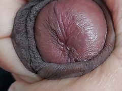 Black dick closeup dick male amateur, latino, masturdating , homemade, man, boy