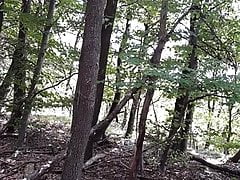 Als Stute im Wald