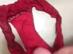 Stranger cumming in my wife's knickers