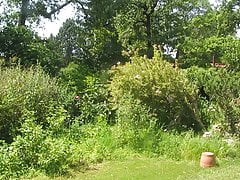 early summer atmosphere