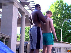 ebony muscle top slamming big black cock in gingers ass