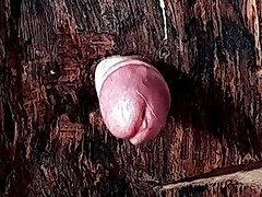 Candlestick for fucking