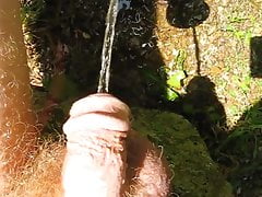 water hose outside
