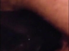 Unexpected visitor45