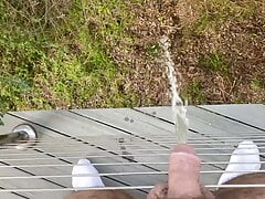 Bear pisses in The Woods!