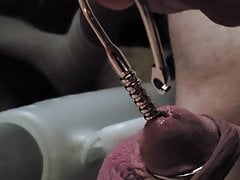Thin Beaded Sounding Rod limp dick
