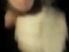 Hot bearded guy sucking guy in public restroom 10