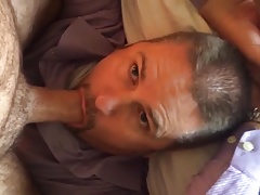Sucking a thick cock