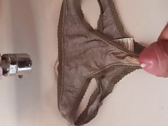 Wifes panties