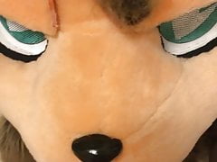 In my fursuit head