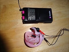 Estim with pink chastity cage