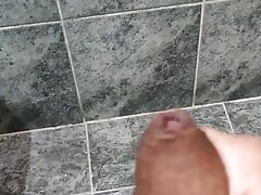 Bear cumming