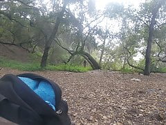 in the park