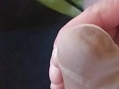 Hard cock almost cum,horny RamboAmadeus
