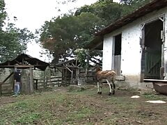Randy gay cowboy drills his partner's tight ass in the stables