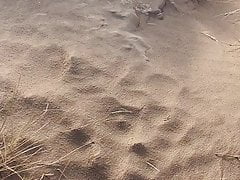Beach cum