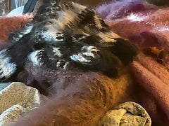 A Bed Full Of Fluffy Mohair