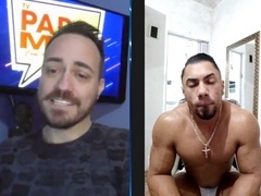 Stripper, dodo-pitbull, show-boys