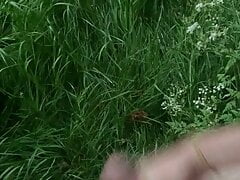 Cum outdoors