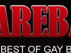 Hardcore cock sucking and hole plugging session with hotties Shorn and Shaggy