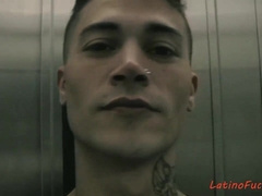 Blue Mood, Fresh Fellow - Blu Twunk, Camilo Caba