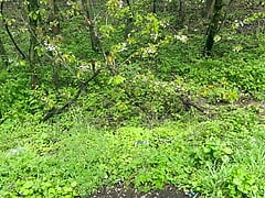 Public masturbation in car after pee in the bushes