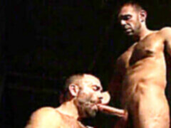 Oral job, muscle hunk, gay anal sex