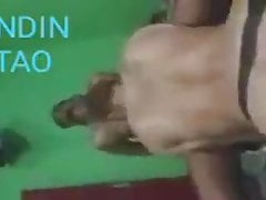 DINDIN BRUTUS X MILKAO PUTO