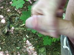 Wanking my hard cock outdoors in the Woods