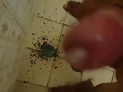 vou gosar