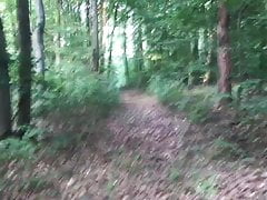 Woodland adventures