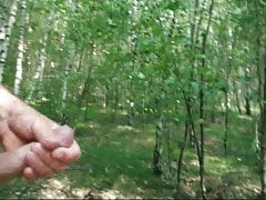 cum in the wood